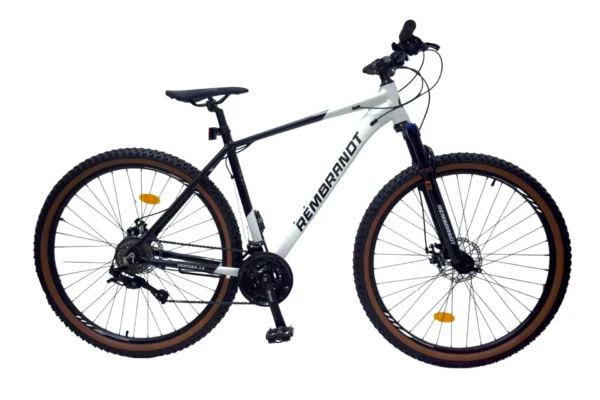 REMBRANDT VENTURA 2.0 R29