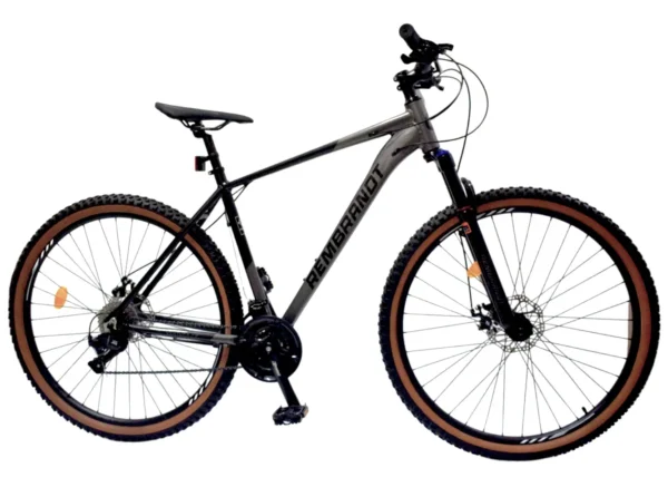 REMBRANDT VENTURA 2.0 R29