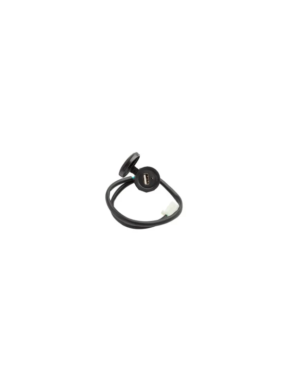Enchufe USB Zanella ZB 110 - Imagen 2