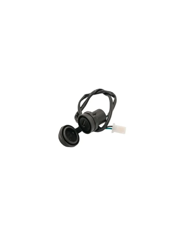 Enchufe USB Zanella ZB 110